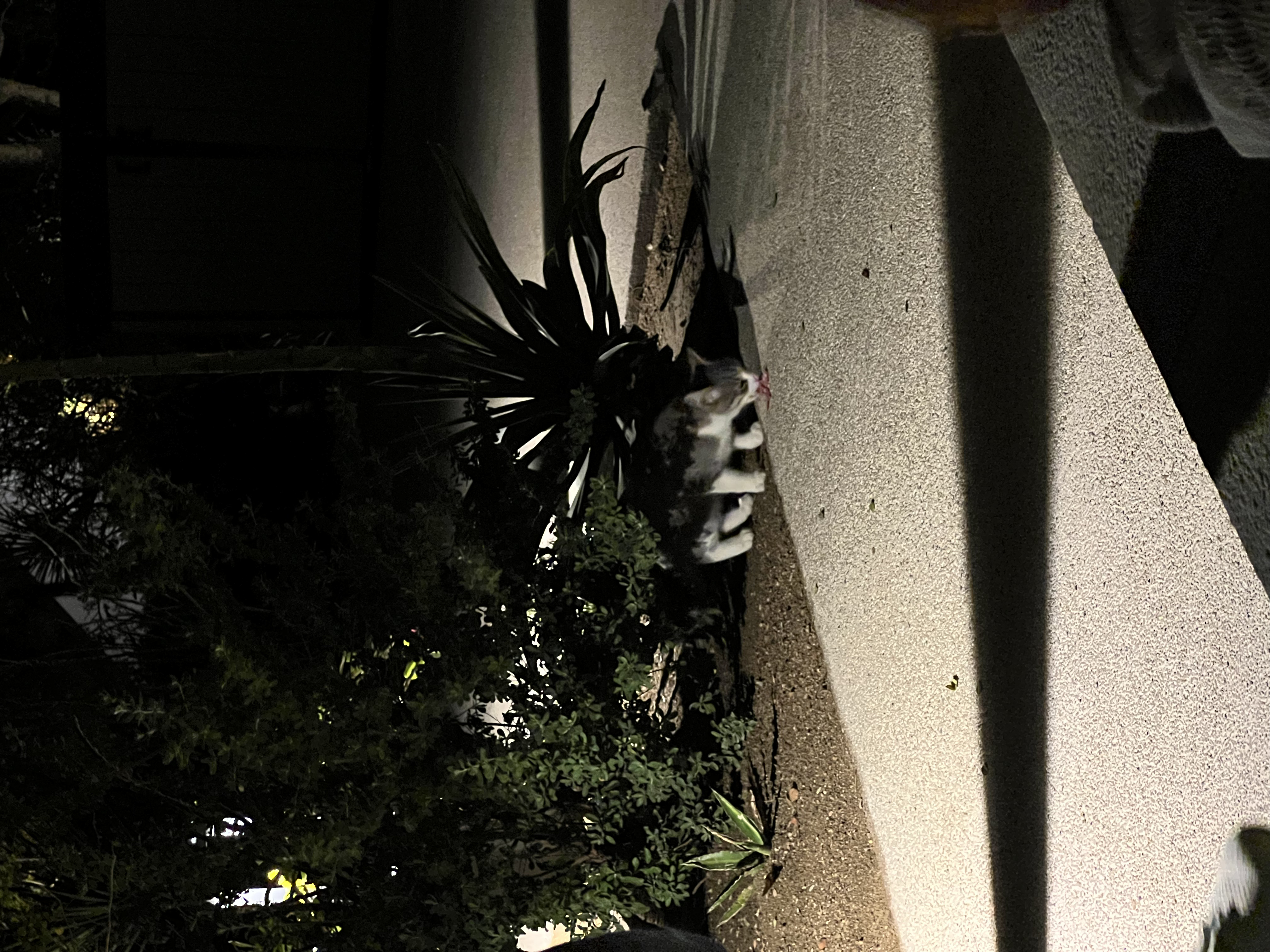 ./2024/13 - Cabo/IMG_4359.jpg